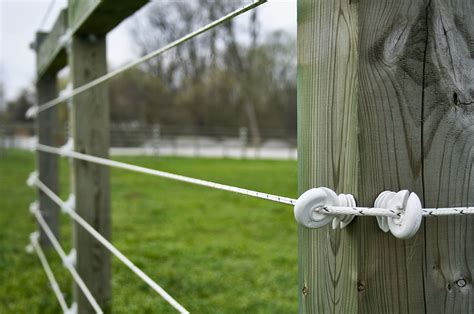 Feed the monofilament wire through the top tip—leaving 1 foot (0.30 m) extra to tie it to the post—and tighten the zip tie. ElectroBraid Electric Horse Fencing | FAQs