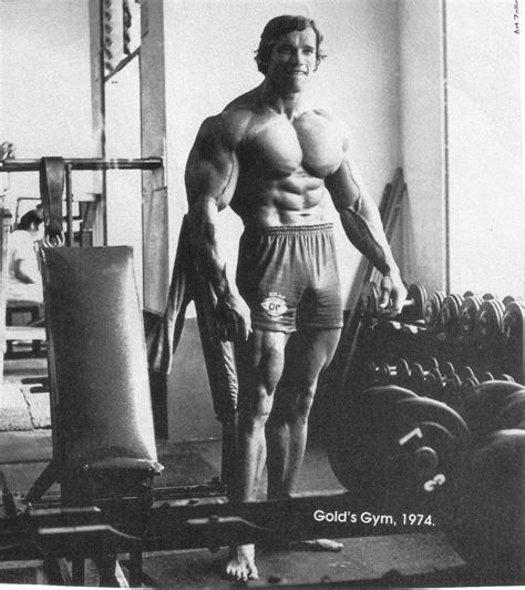 Arnold Schwarzenegger Lou Ferrigno Actors Bodybuilding Hd Wallpaper Rare Gallery