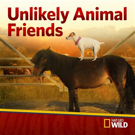 Watch Unlikely Animal Friends Episodes Season 3 Tv Guide