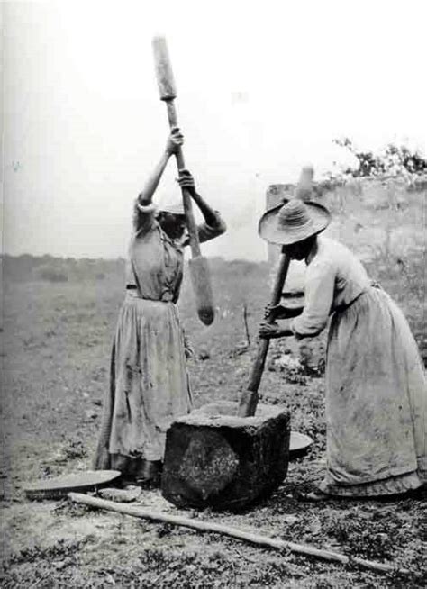 19c American Women Slaves And Rice