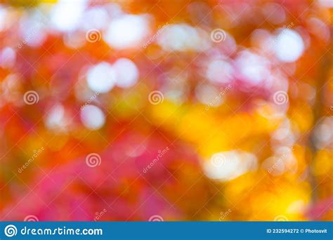 Autumn Defocused Nature Blur Backdrop Of Fall Leaves Unfocus Colorful