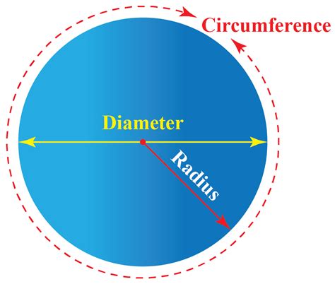 But the perimeter of a semi circle also includes the diameter which is 2r. Perimeter of a Circle - Cuemath