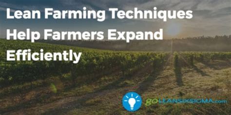 Lean Farming Techniques Help Farmers Expand Efficiently