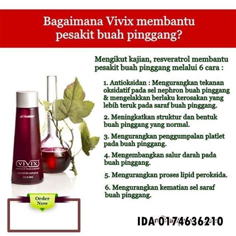 Ini cara mengatasi dan mencegahnya. CARA MERAWAT BUAH PINGGANG SEGERA ELAK DARI DIALISIS ...