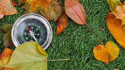 Use Compass In The Forest Stock Image Image Of Navigation 160725821