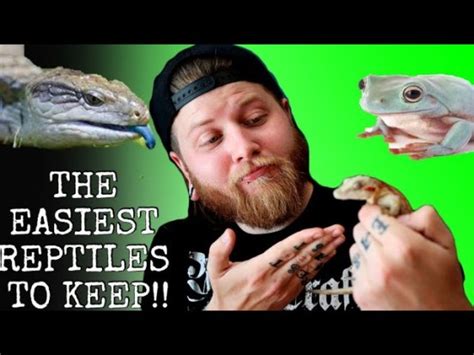 Top 5 Easiest Reptiles To Keep Reptile Keeper