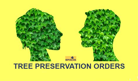 Tree Preservation Orders Tree Preservation Orders In Aberdeenshire