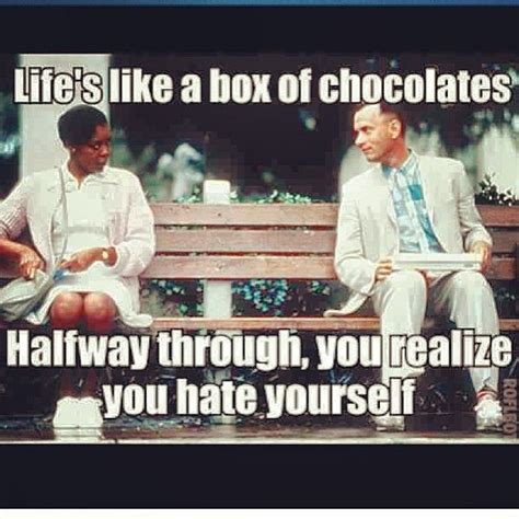 Used to explain how life is uncertain, it is seen at the beginning of the movie, and makes an appearance in the sequel to the novel. Life is like a box of chocolates | Things that make me laugh | Pinter…