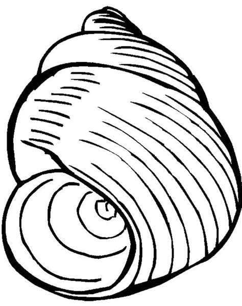 Drawing Shell 163165 Nature Printable Coloring Pages