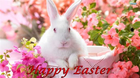 The great collection of cute easter wallpapers for desktop, laptop and mobiles. Easter Bunny Desktop Wallpaper ·① WallpaperTag