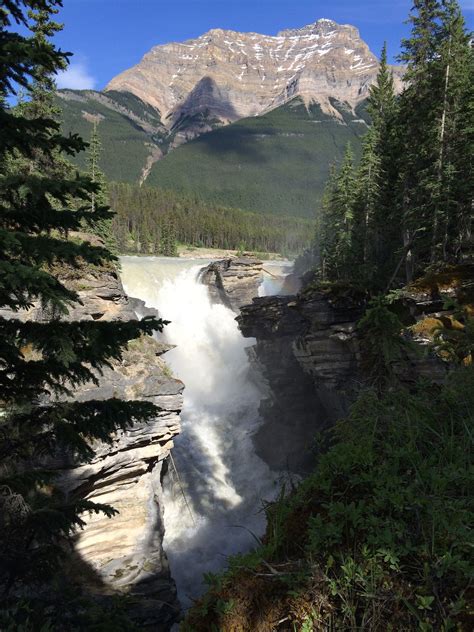 Athabasca Waterfall Jasper National Park National Parks Waterfall