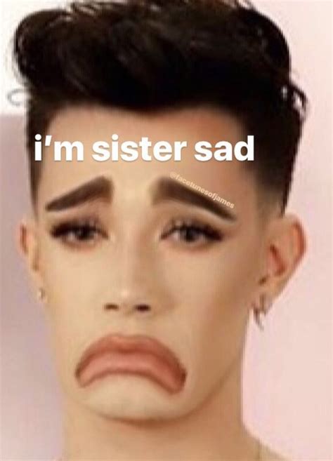 James Charles Charles Meme Stupid Memes Dankest Memes Reaction