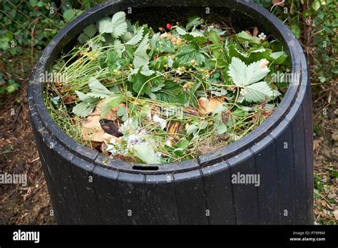 Green Garden Waste Hi Res Stock Photography And Images Alamy