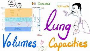 Lung Volumes And Capacities Pulmonary Function Tests Pfts Biology