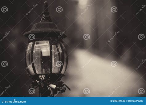 Vintage Street Lights Along The Path Stock Photo Image Of Lamps