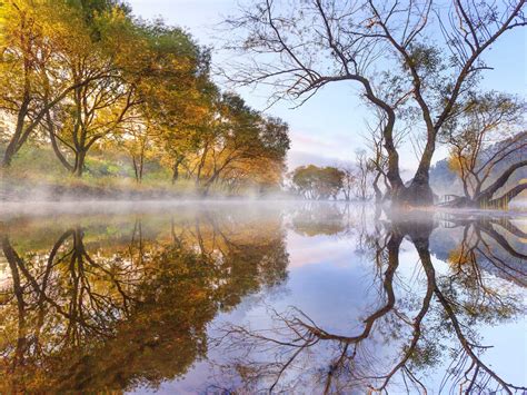 Autumn Morning Lake Evaporation Trees Willow Reflection In Water