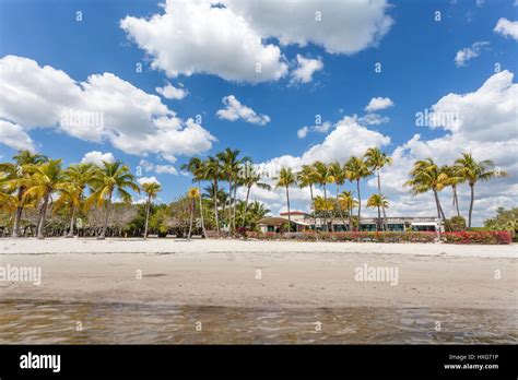 Matheson Hammock Park Beach In Miami Florida United States Stock