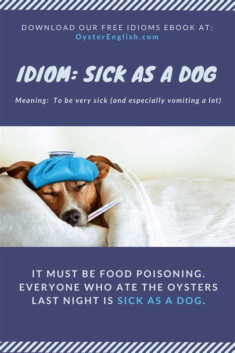 What Is The Meaning Of The Idiom Sick As A Dog