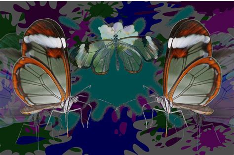 Psychedelic Butterfly Wallpapers Top Free Psychedelic Butterfly