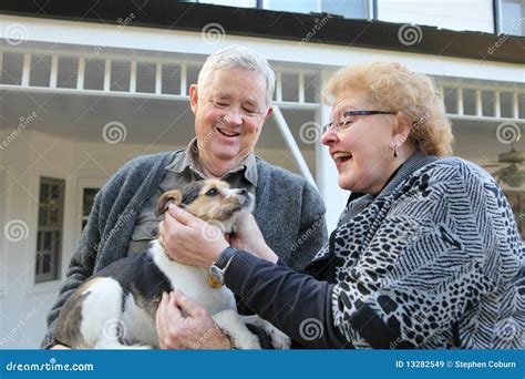 Elderly Couple With Dog Stock Image Image Of Pensioner 13282549