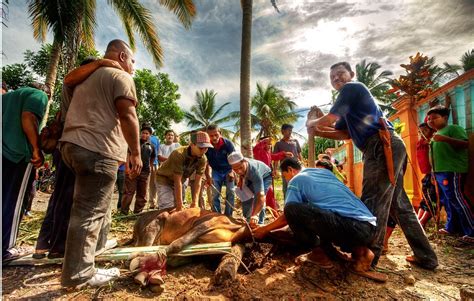 Additionally, the second day of hari raya qurban is gazetted as a state holiday in kedah and perlis. Hari Raya Aidiladha jatuh pada 22 Ogos 2018 - Yayasan ...