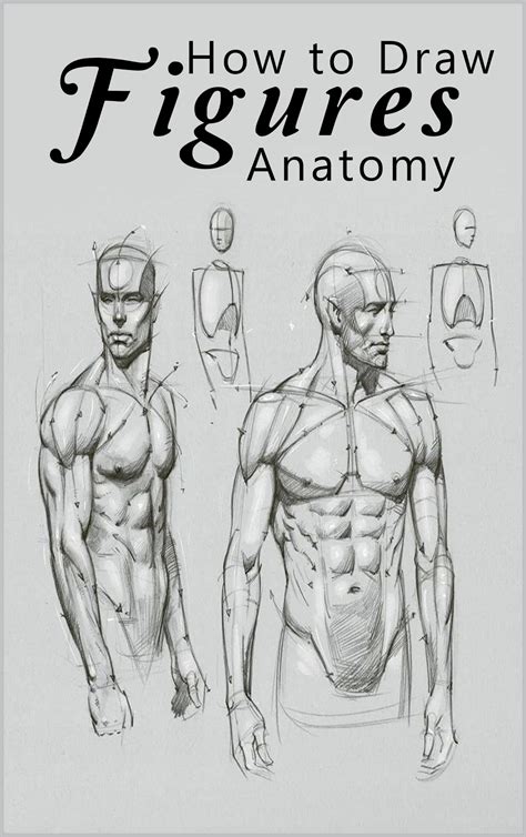 Buy How To Draw Figures Anatomy How To Draw The Human Body How To