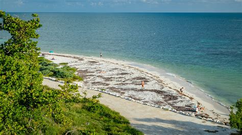 Visit Big Pine Key Best Of Big Pine Key Florida Travel 2023 Expedia