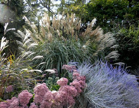 Ornamental Grasses How To Prune Practical Gardening Series Margaret Rose Realy Obl Osb