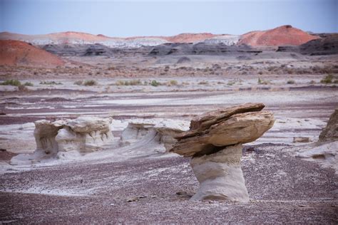 Discover 6 Unbelievable Sights In Navajoland Visit Usa Parks