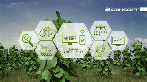 Iot And Automation Technologies In Agriculture Altamira