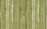 Pictures of Green Wood