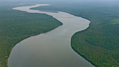 Amazon Rainforest Wallpaper 69 Images