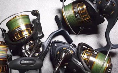 Daiwa BG SW Spinning Reel Review Salted Angler
