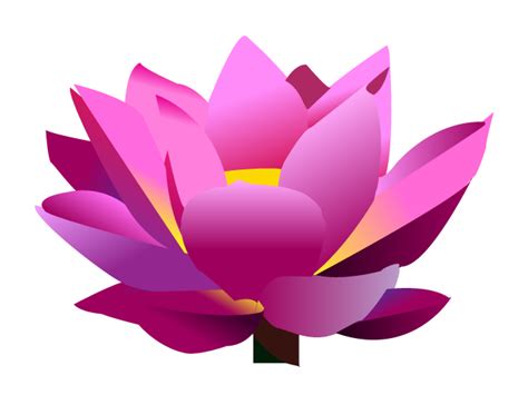 Lotus Flower Graphic Png Clipart Best Clipart Best