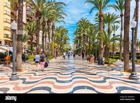 People Walking On A Palm Lined Promenade In Alicante Spain Alicante
