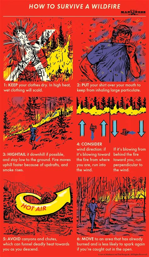 Guide How To Survive A Wildfire