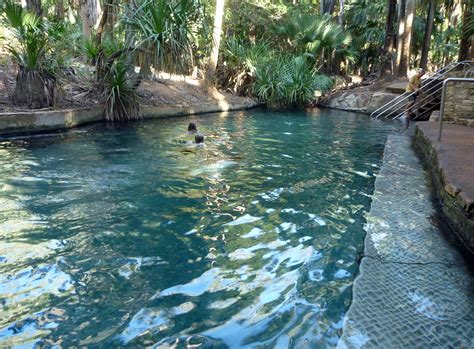 Mataranka Hot Pools Lets Go Travel Australia