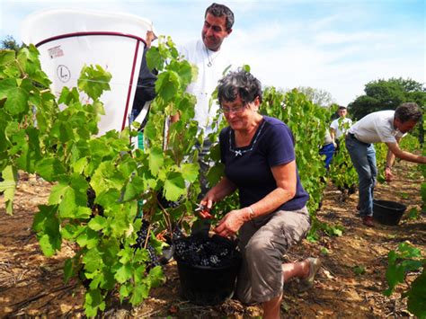 Introduction To French Wine In Beaujolais From Vignoble Charmet