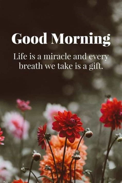 45 Good Morning Quotes Images To Make Your Happiest Day Funzumo