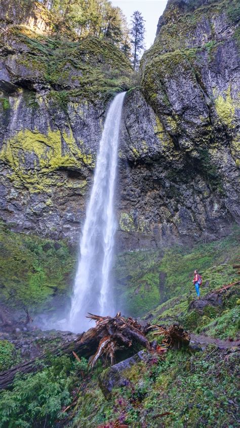 View Of The 289 Foot Elowah Falls Waterfall On Gorge Trail 400