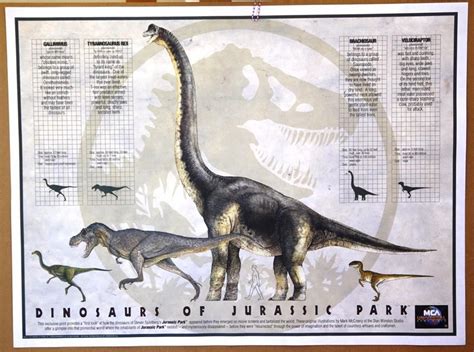 Size Chart For The Jp Dinosaurs And Alternate Color Scheme Of