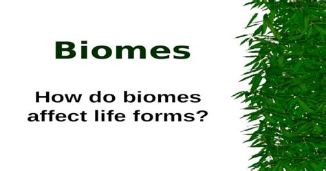 Ppt Biomes How Do Biomes Affect Life Forms Biomes Pdfslidenet