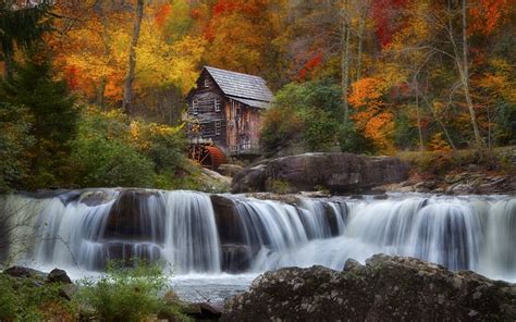 Download Forest Tree Fall Waterfall Earth Man Made Watermill Hd Wallpaper