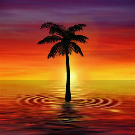 Download Wallpaper 2780x2780 Palm Art Twilight Sea Ipad Air Ipad