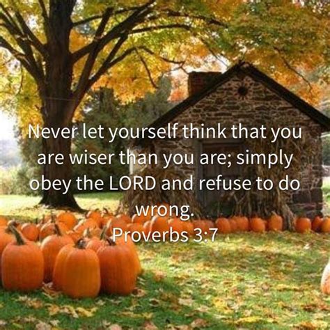 Proverbs 37 Never Let Yourself Think That You Are Wiser Than You Are Simply Obey The Lord And