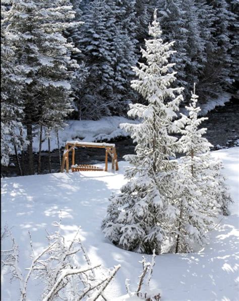Looking for van rentals in denver? Luxury Getaway Rental | Denver, Colorado | Glamping Hub