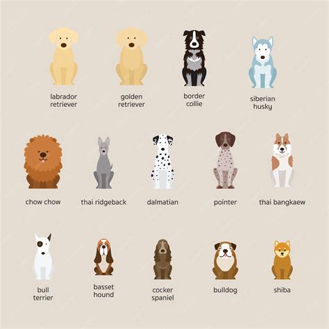 Dog Breeds Set Small And Medium Size Royalty Free Vector Vlrengbr