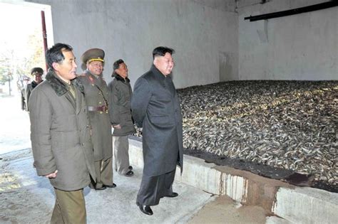 Pictured: Kim Jong-un looking at things in North Korea ...