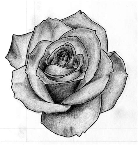 Realistic Rose Drawing Black And White