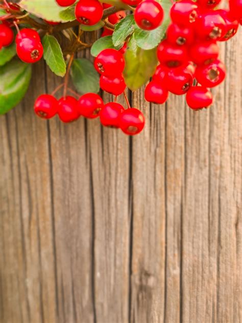 Red Berries On Wooden Background Free Stock Photo Public Domain Pictures